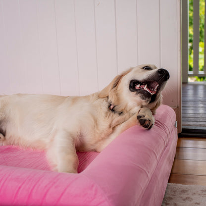 Orthopedic Memory Foam Velvet Dog Bed: Strawberries & Cream