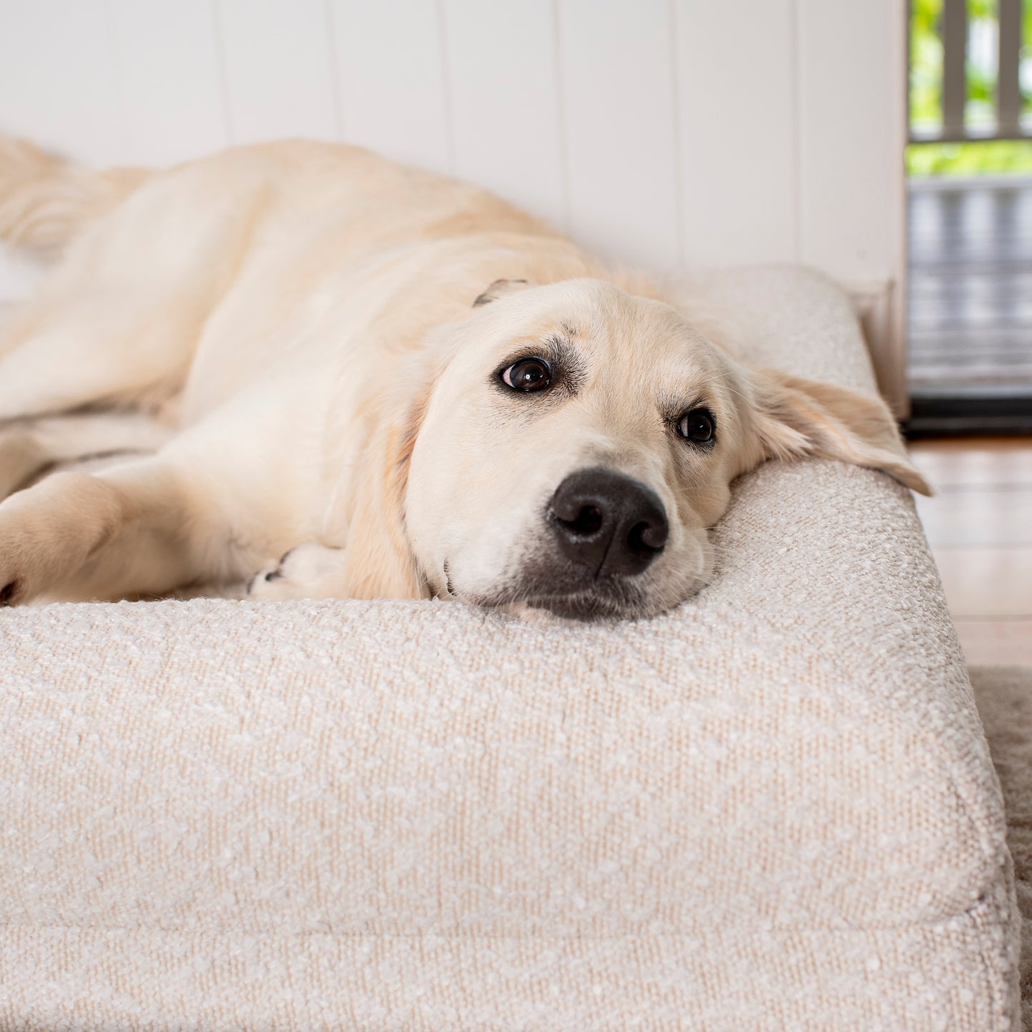 Orthopedic Memory Foam Boucle Dog Bed: Cloud