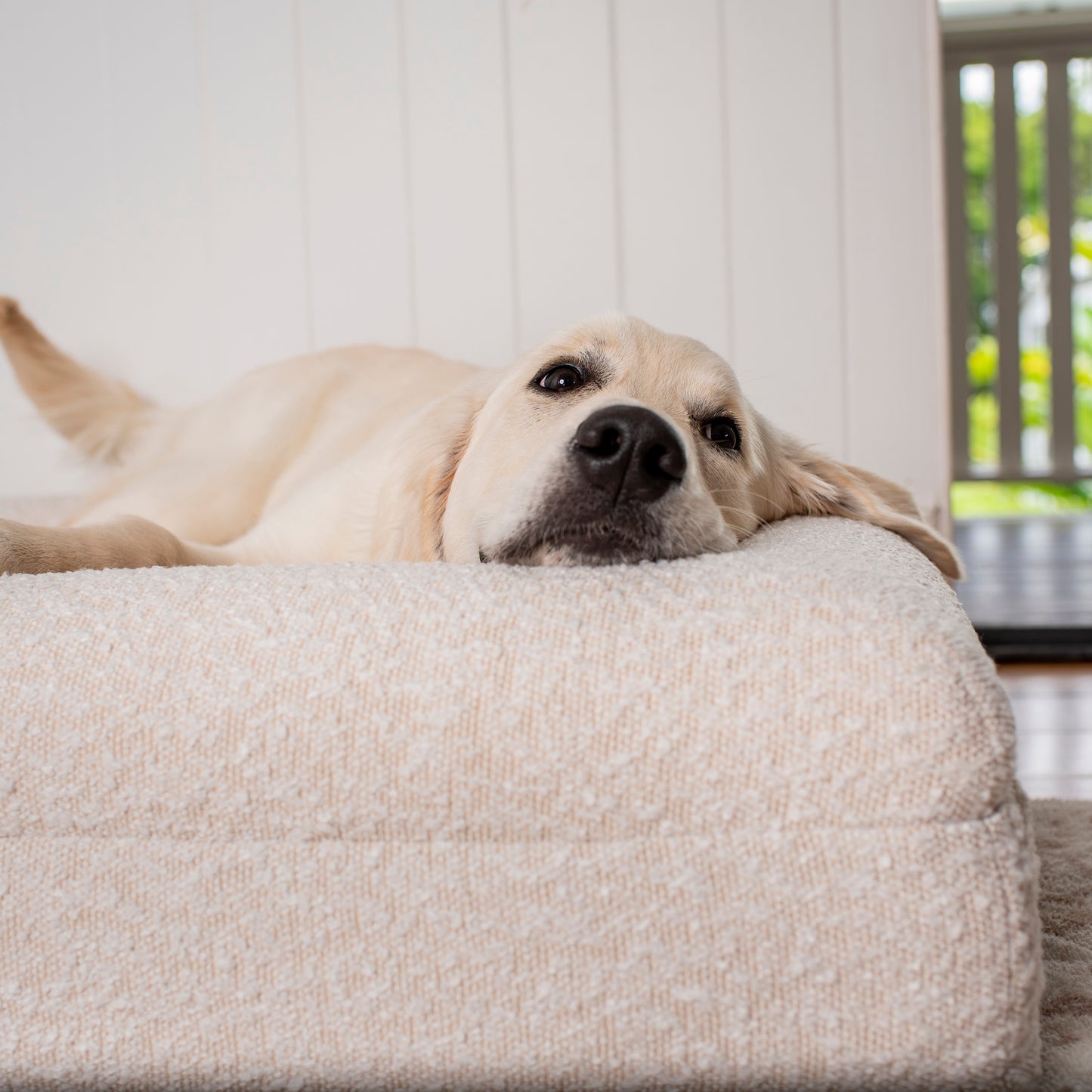 Orthopedic Memory Foam Boucle Dog Bed: Cloud