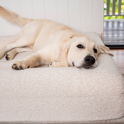 Orthopedic Memory Foam Boucle Dog Bed: Cloud