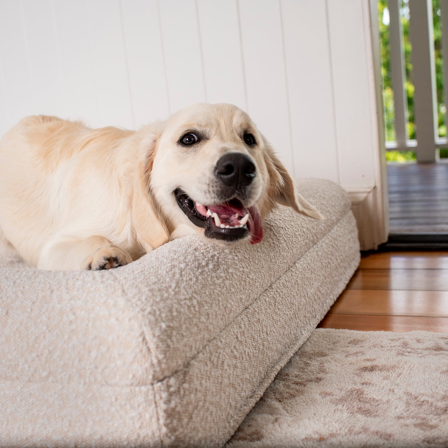 Orthopedic Memory Foam Boucle Dog Bed: Cloud