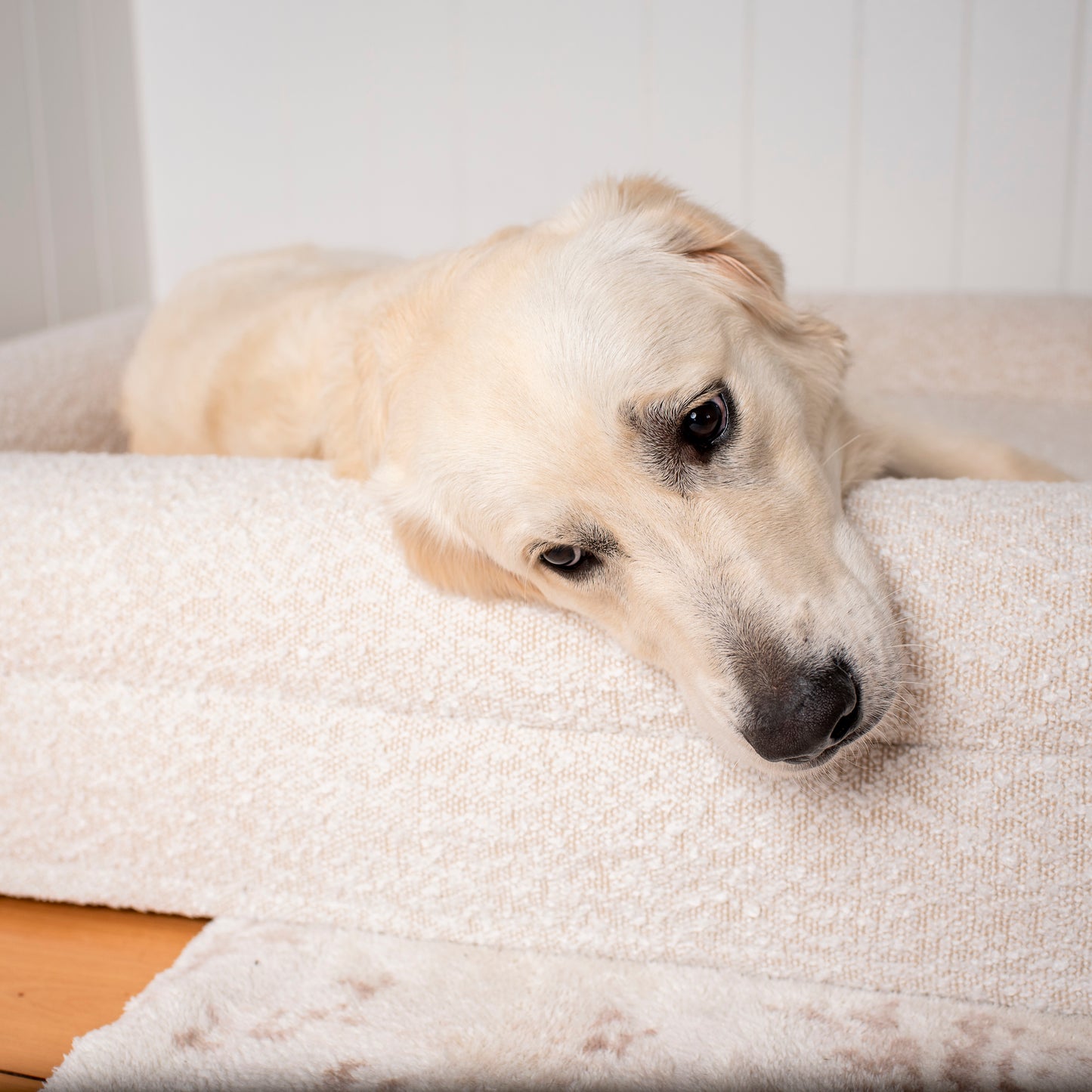 Orthopedic Memory Foam Boucle Dog Bed: Cloud