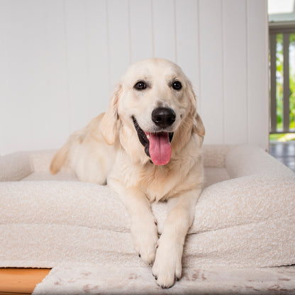 Orthopedic Memory Foam Boucle Dog Bed: Cloud