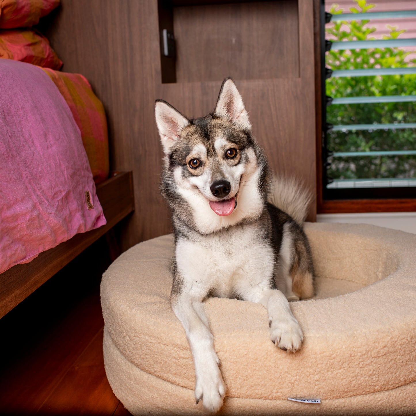 Orthopedic Memory Foam Teddy Donut Dog Bed: Latte