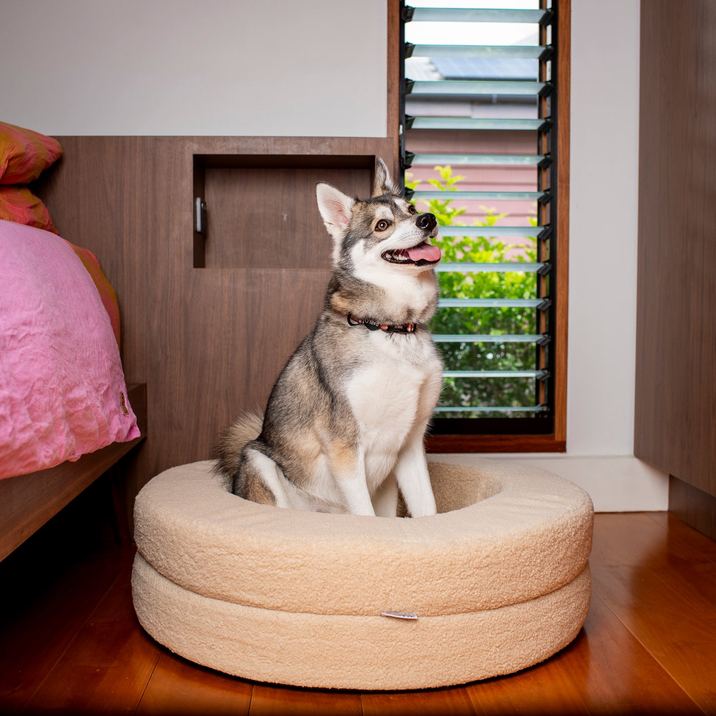 Orthopedic Memory Foam Teddy Donut Dog Bed: Latte