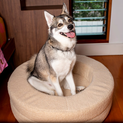 Orthopedic Memory Foam Teddy Donut Dog Bed: Latte