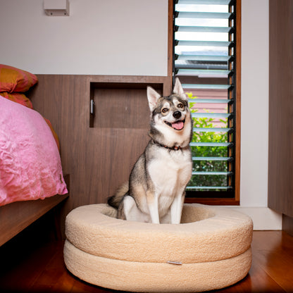 Orthopedic Memory Foam Teddy Donut Dog Bed: Latte