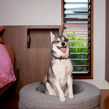 Orthopedic Memory Foam Boucle Donut Dog Bed: Storm