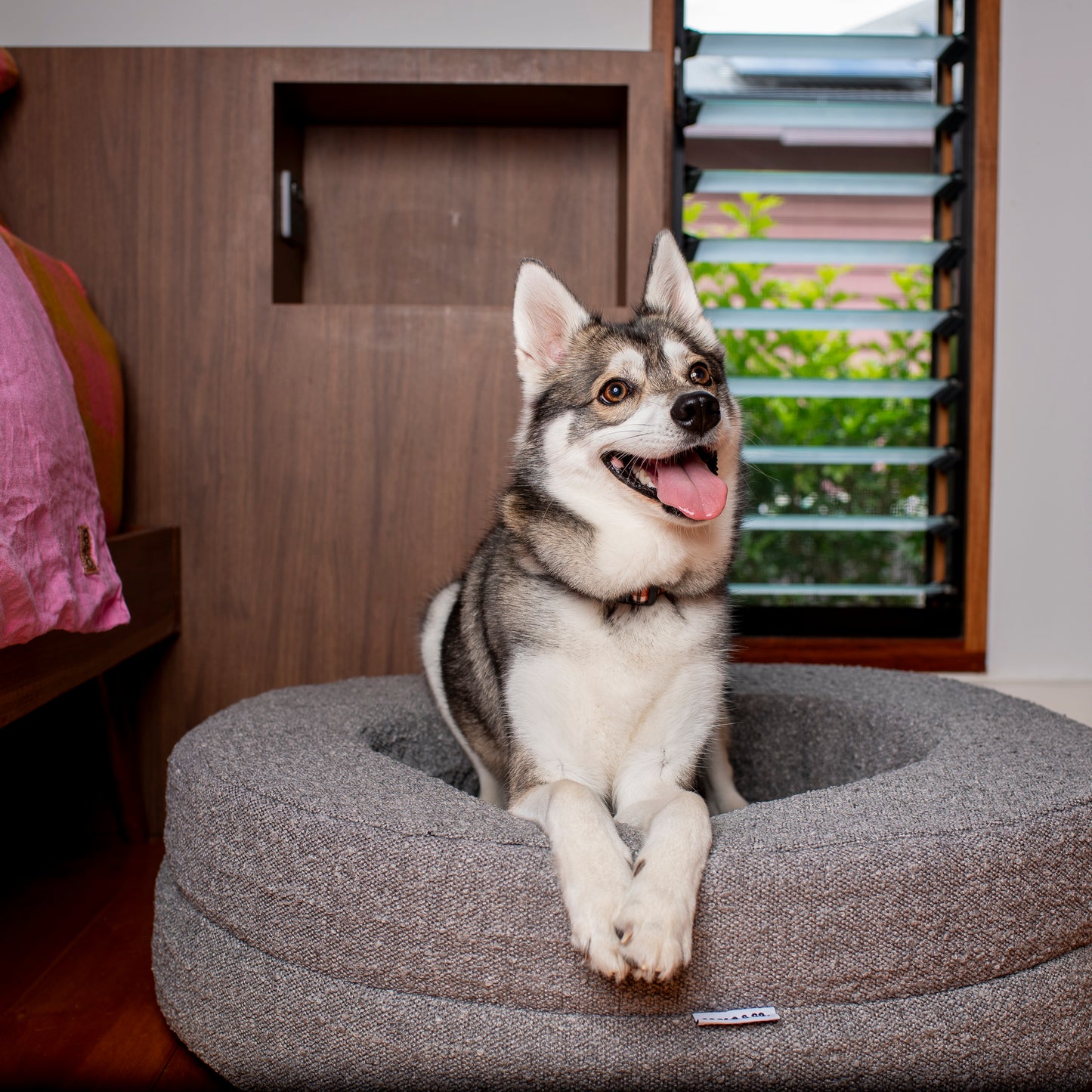 Orthopedic Memory Foam Boucle Donut Dog Bed: Storm