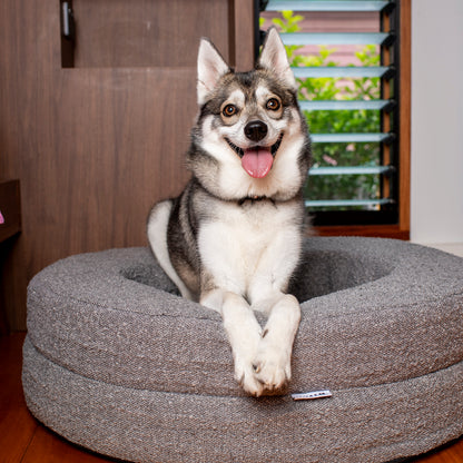 Orthopedic Memory Foam Boucle Donut Dog Bed: Storm