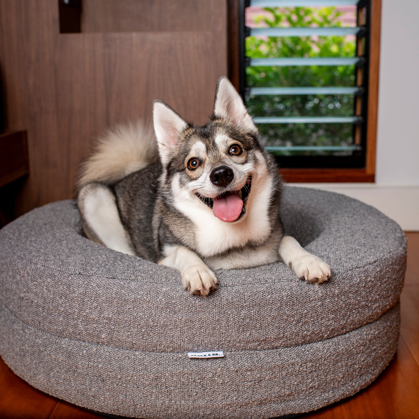 Orthopedic Memory Foam Boucle Donut Dog Bed: Storm