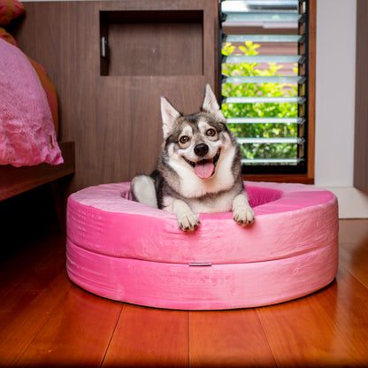 Orthopedic Memory Foam Velvet Donut Dog Bed: Strawberries and Cream