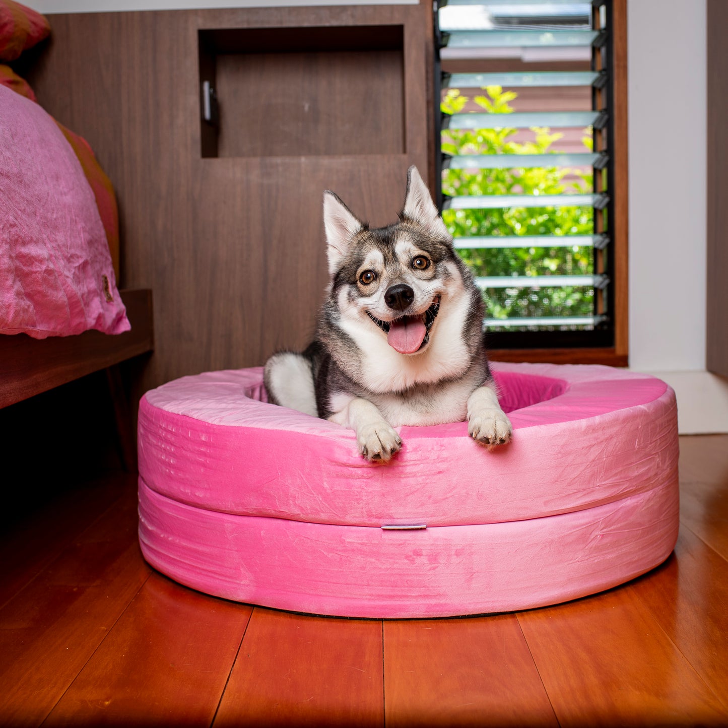 Orthopedic Memory Foam Velvet Donut Dog Bed: Strawberries and Cream