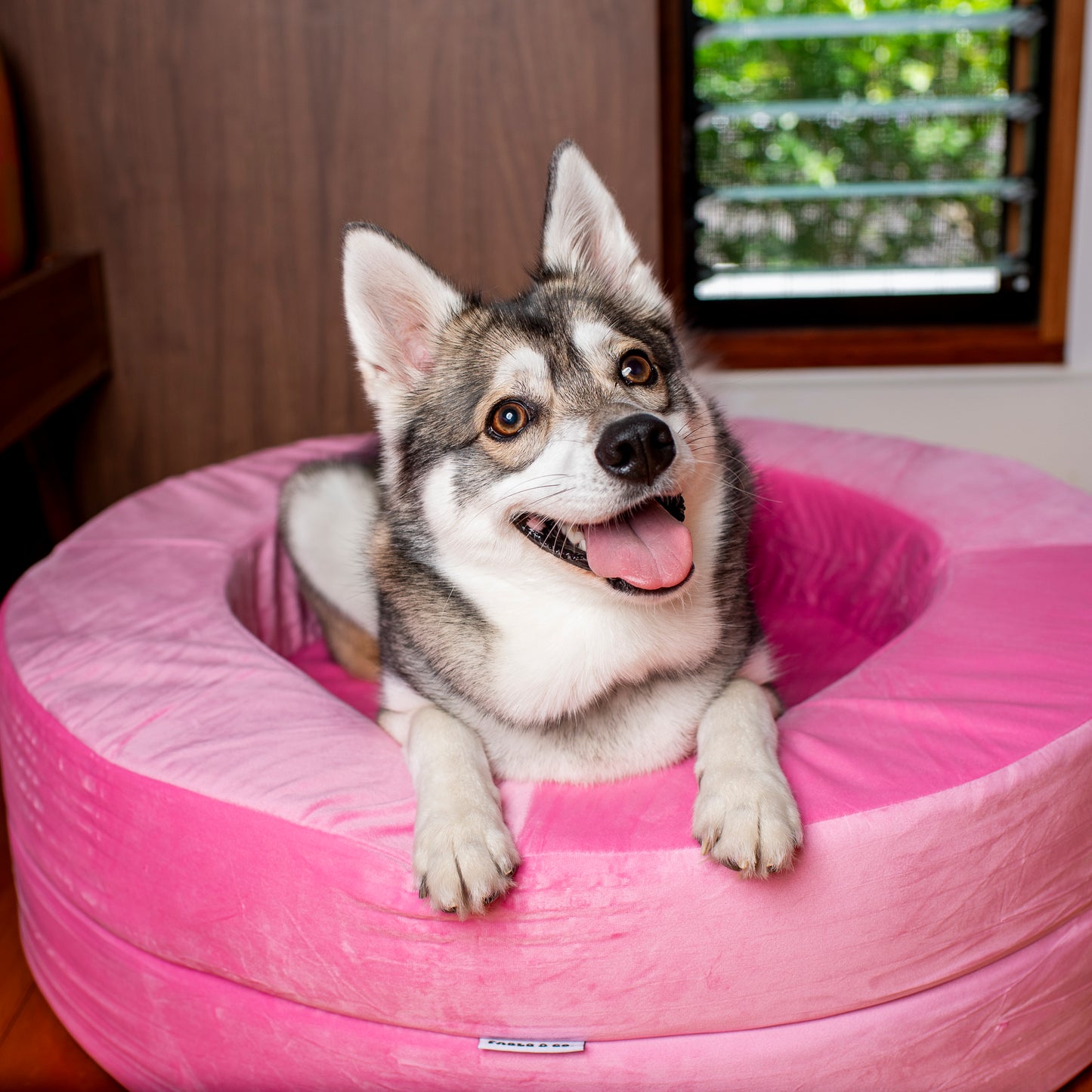 Orthopedic Memory Foam Velvet Donut Dog Bed: Strawberries and Cream