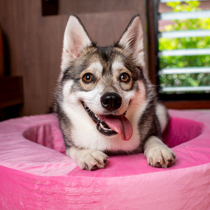 Orthopedic Memory Foam Velvet Donut Dog Bed: Strawberries and Cream