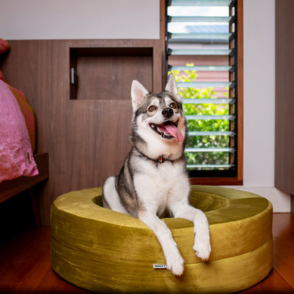 Orthopedic Memory Foam Velvet Donut Dog Bed: Pistachio