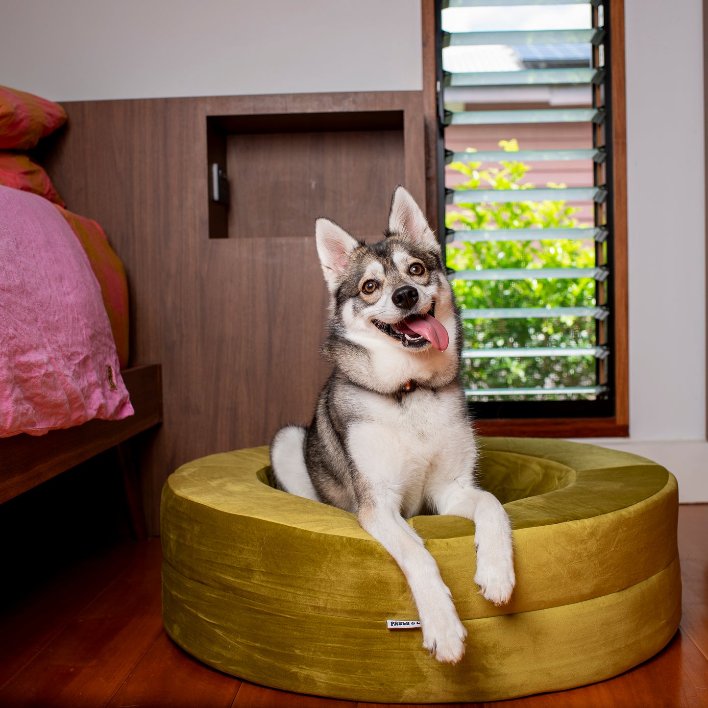 Orthopedic Memory Foam Velvet Donut Dog Bed: Pistachio