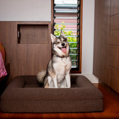 Orthopedic Memory Foam Teddy Dog Bed: Espresso