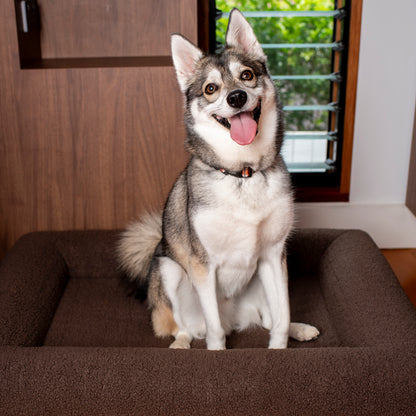 Orthopedic Memory Foam Teddy Dog Bed: Espresso