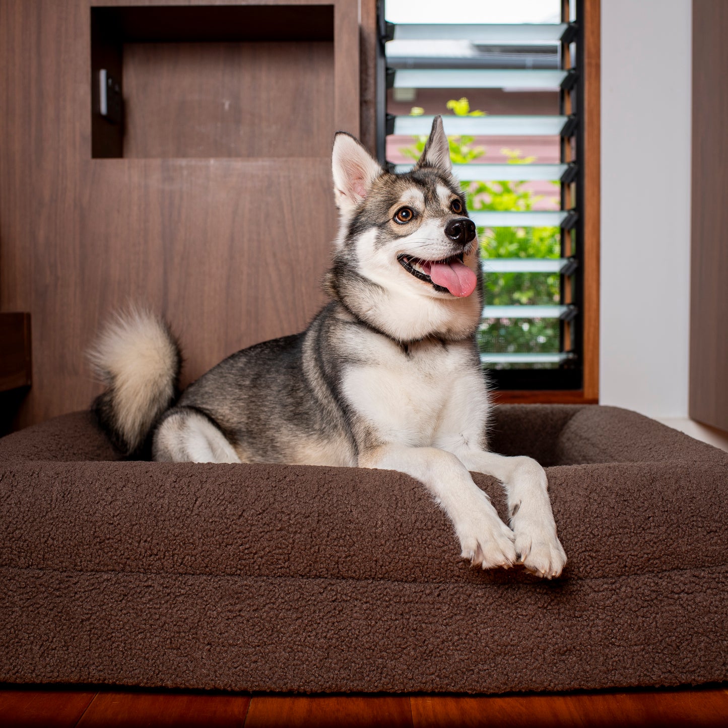 Orthopedic Memory Foam Teddy Dog Bed: Espresso