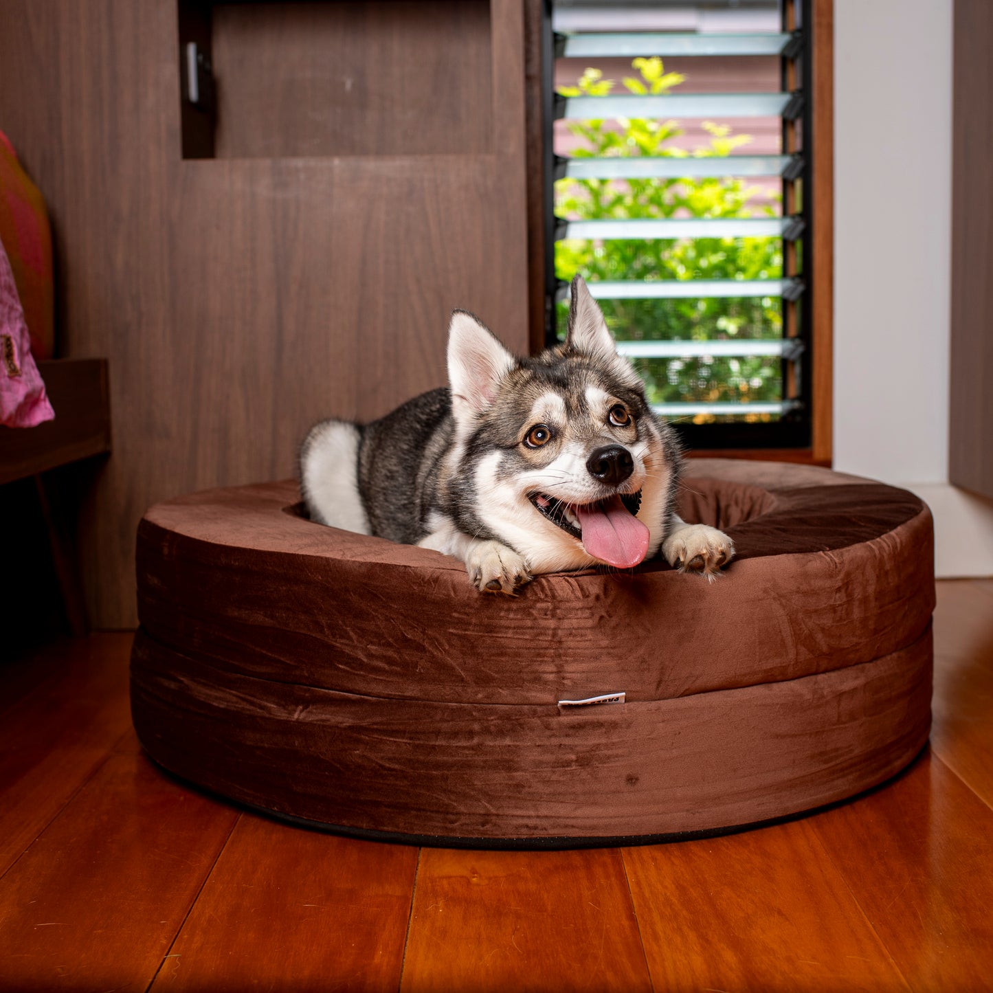 Orthopedic Memory Foam Velvet Donut Dog Bed: Dark Chocolate