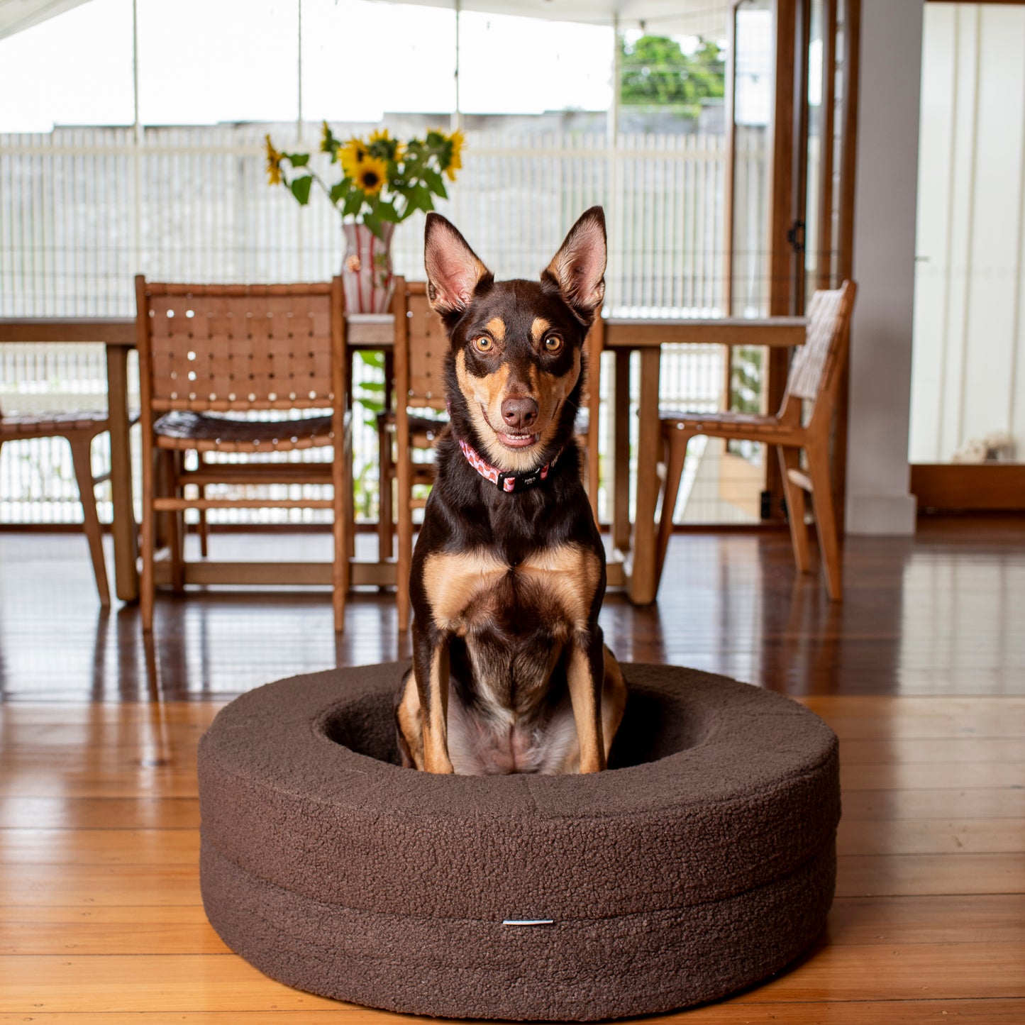 Orthopedic Memory Foam Teddy Donut Dog Bed: Espresso