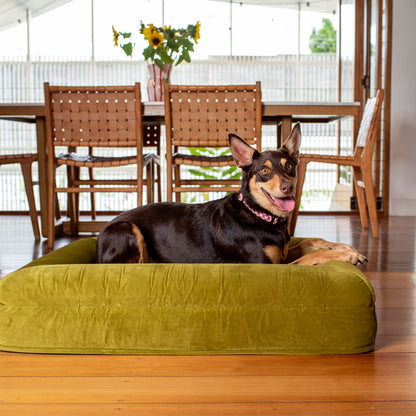 Orthopedic Memory Foam Velvet Dog Bed: Pistachio