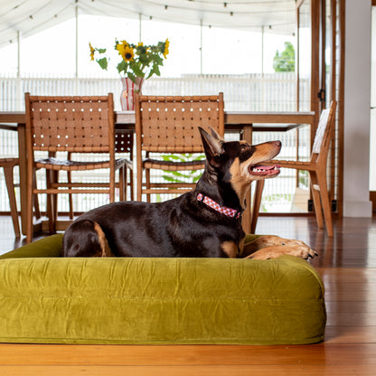 Orthopedic Memory Foam Velvet Dog Bed: Pistachio