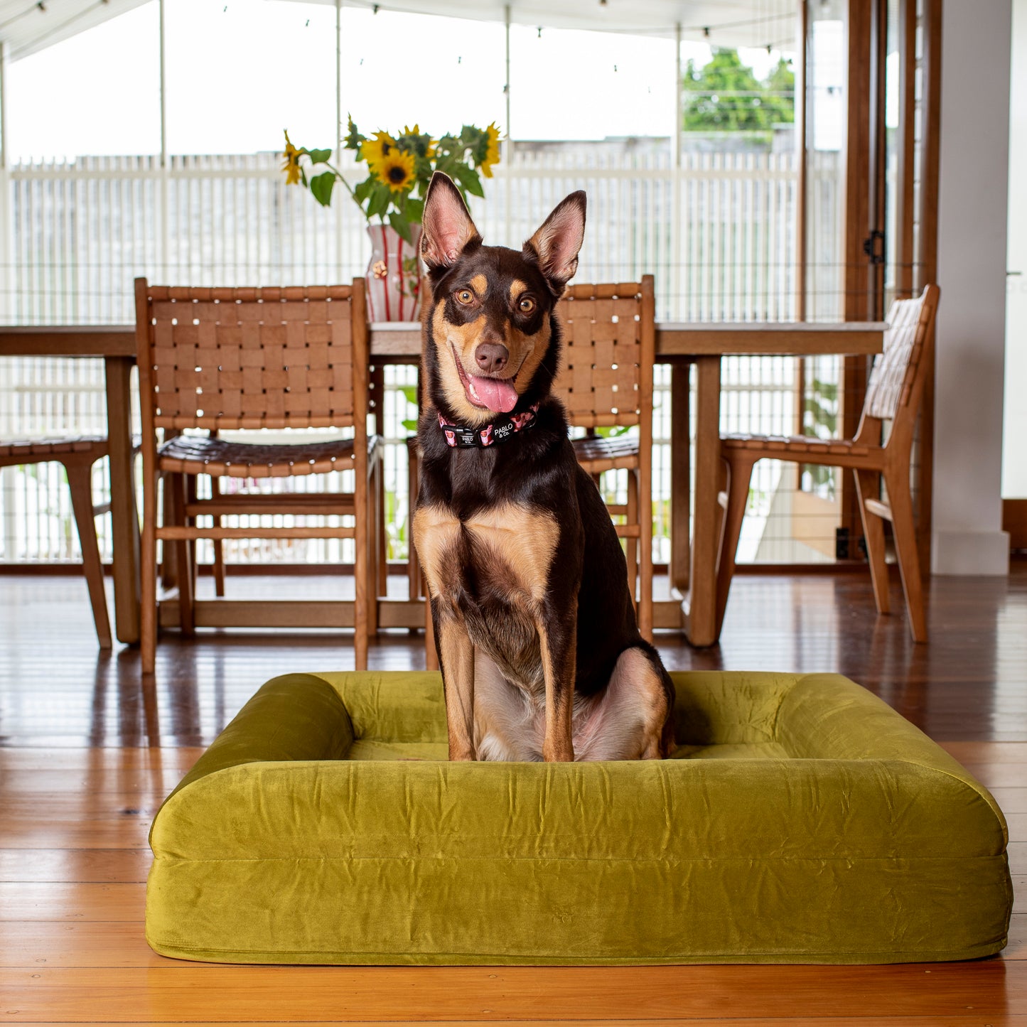 Orthopedic Memory Foam Velvet Dog Bed: Pistachio