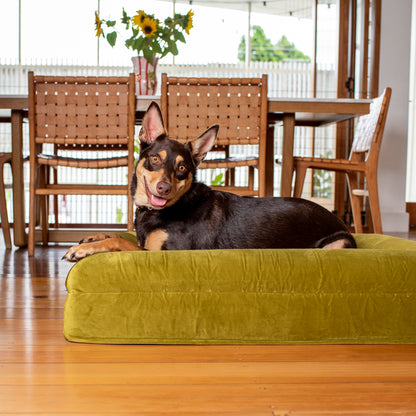 Orthopedic Memory Foam Velvet Dog Bed: Pistachio