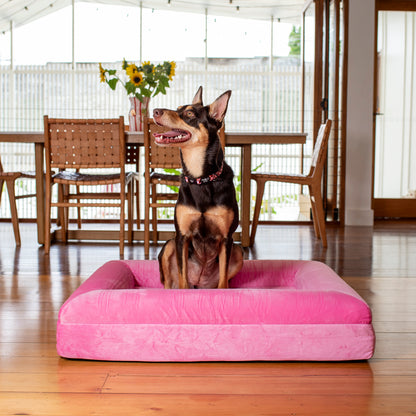 Orthopedic Memory Foam Velvet Dog Bed: Strawberries & Cream