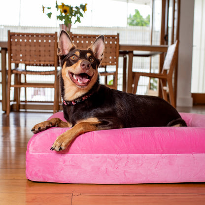 Orthopedic Memory Foam Velvet Dog Bed: Strawberries & Cream