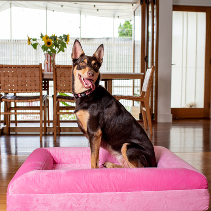 Orthopedic Memory Foam Velvet Dog Bed: Strawberries & Cream