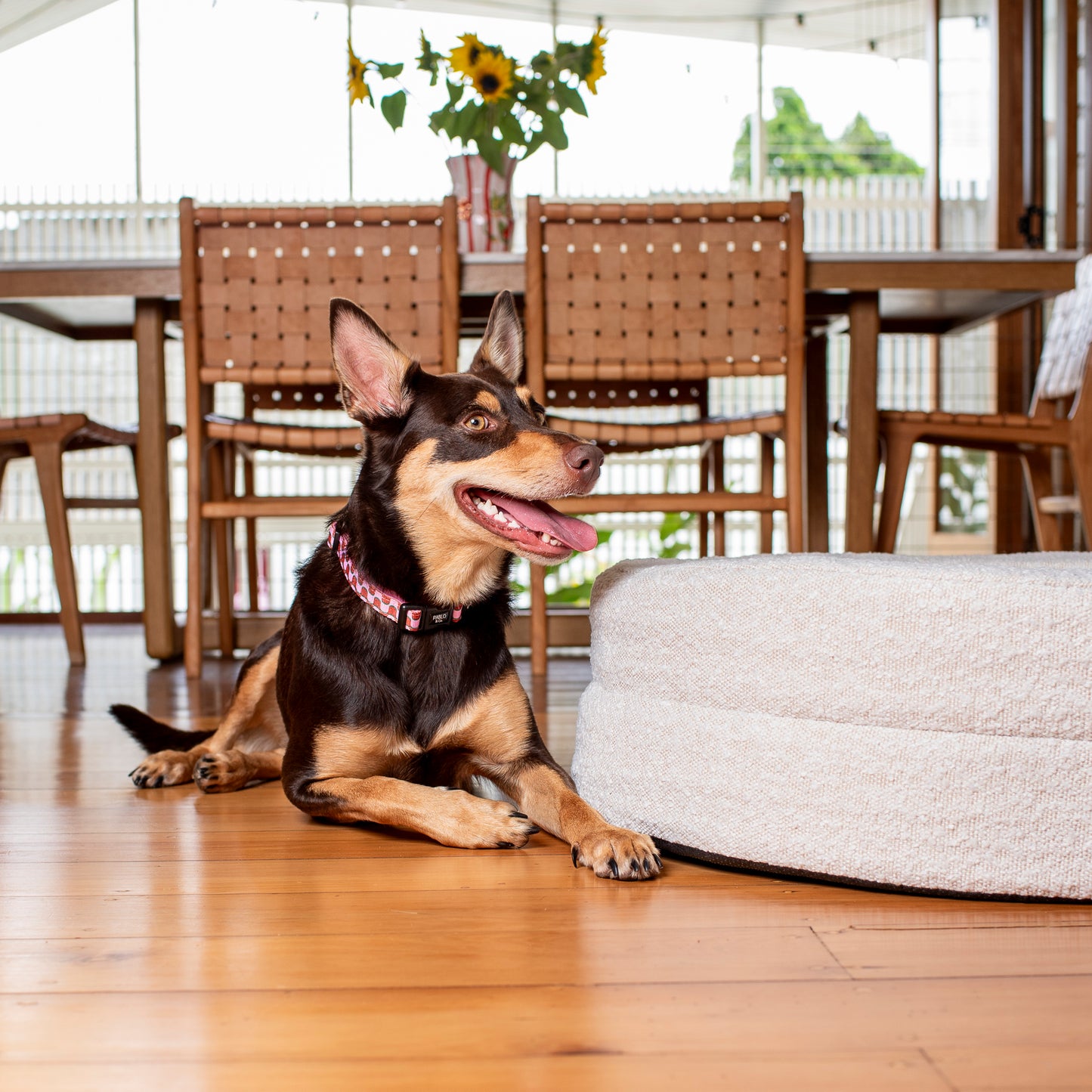 Orthopedic Memory Foam Boucle Donut Dog Bed: Cloud