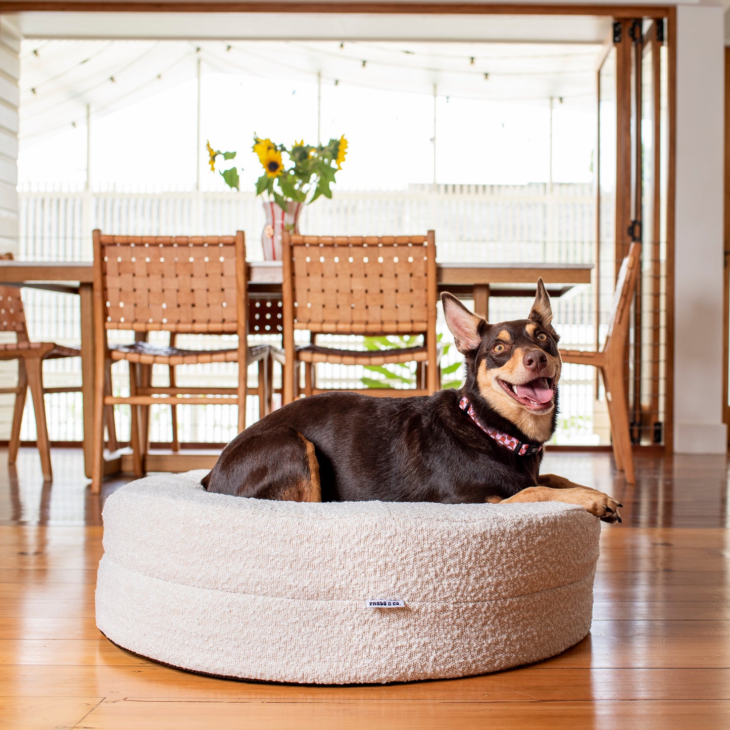 Orthopedic Memory Foam Boucle Donut Dog Bed: Cloud