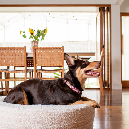 Orthopedic Memory Foam Boucle Donut Dog Bed: Cloud