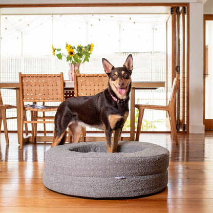 Orthopedic Memory Foam Boucle Donut Dog Bed: Storm