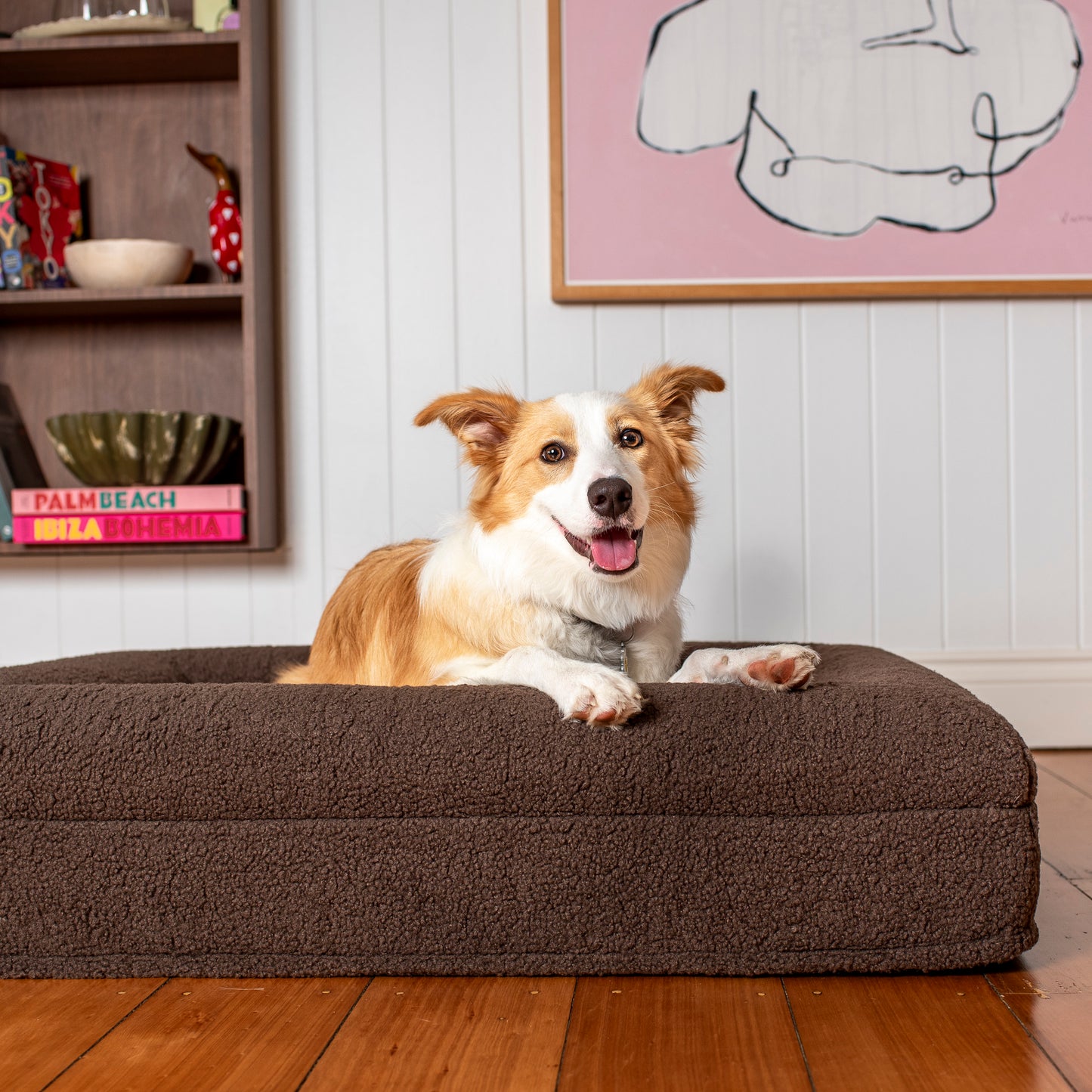 Orthopedic Memory Foam Teddy Dog Bed: Espresso