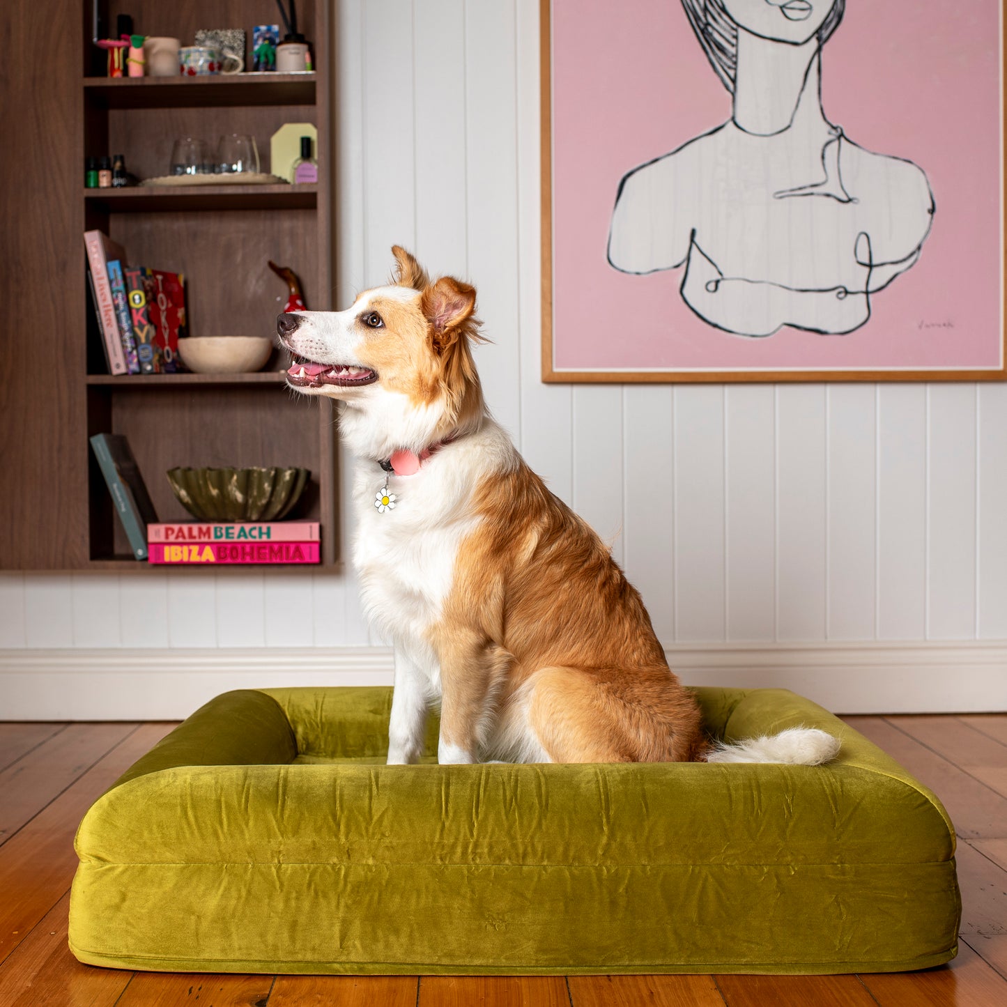 Orthopedic Memory Foam Velvet Dog Bed: Pistachio