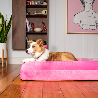 Orthopedic Memory Foam Velvet Dog Bed: Strawberries & Cream