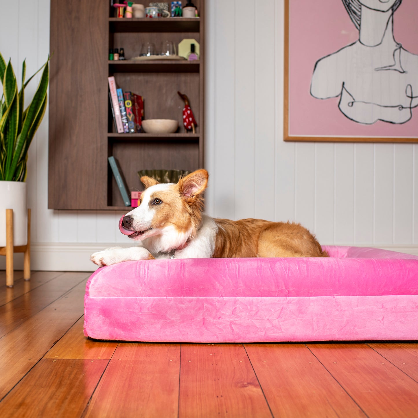 Orthopedic Memory Foam Velvet Dog Bed: Strawberries & Cream