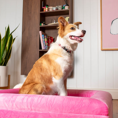 Orthopedic Memory Foam Velvet Dog Bed: Strawberries & Cream