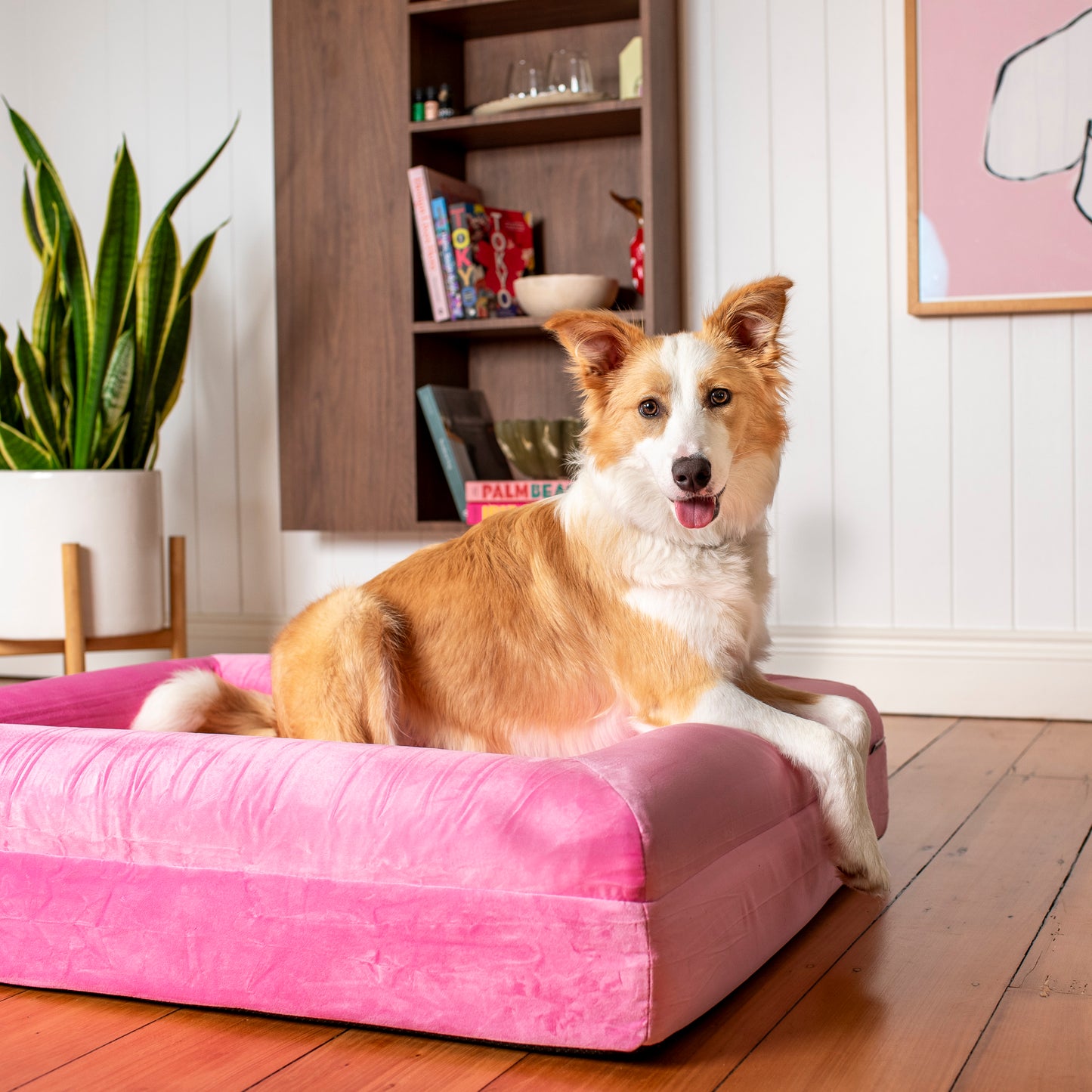 Orthopedic Memory Foam Velvet Dog Bed: Strawberries & Cream