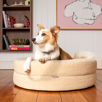 Orthopedic Memory Foam Teddy Donut Dog Bed: Latte