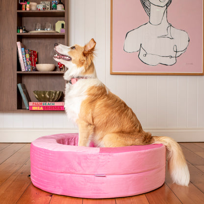 Orthopedic Memory Foam Velvet Donut Dog Bed: Strawberries and Cream