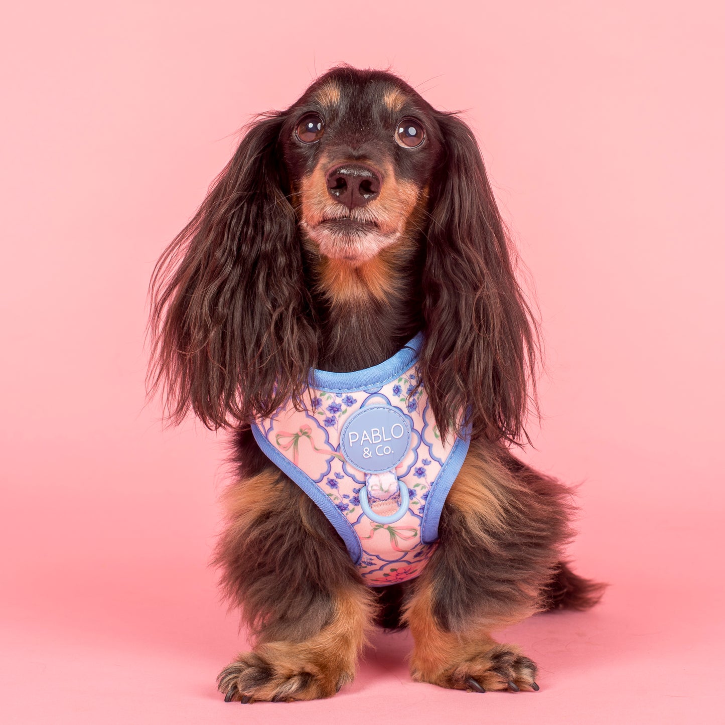 Petal: Adjustable Harness