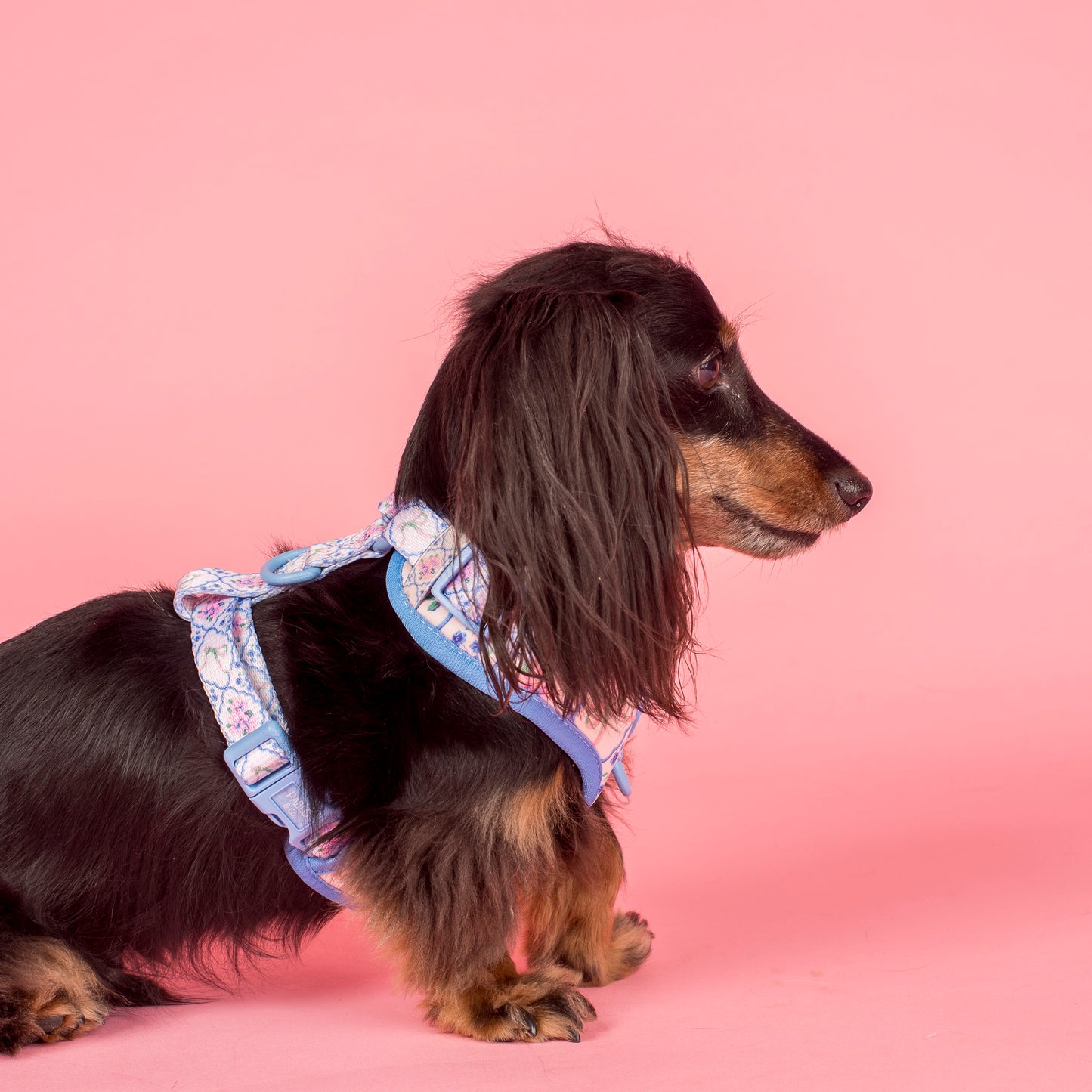 Petal: Adjustable Harness