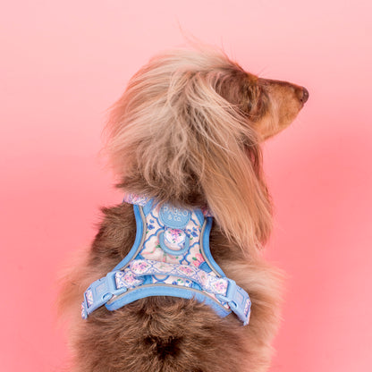 Petal: No Pull Adventure Harness