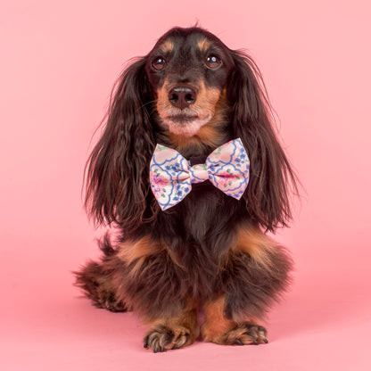 Petal: Bow Tie