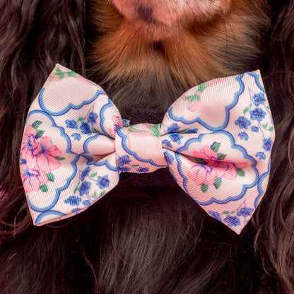 Petal: Bow Tie